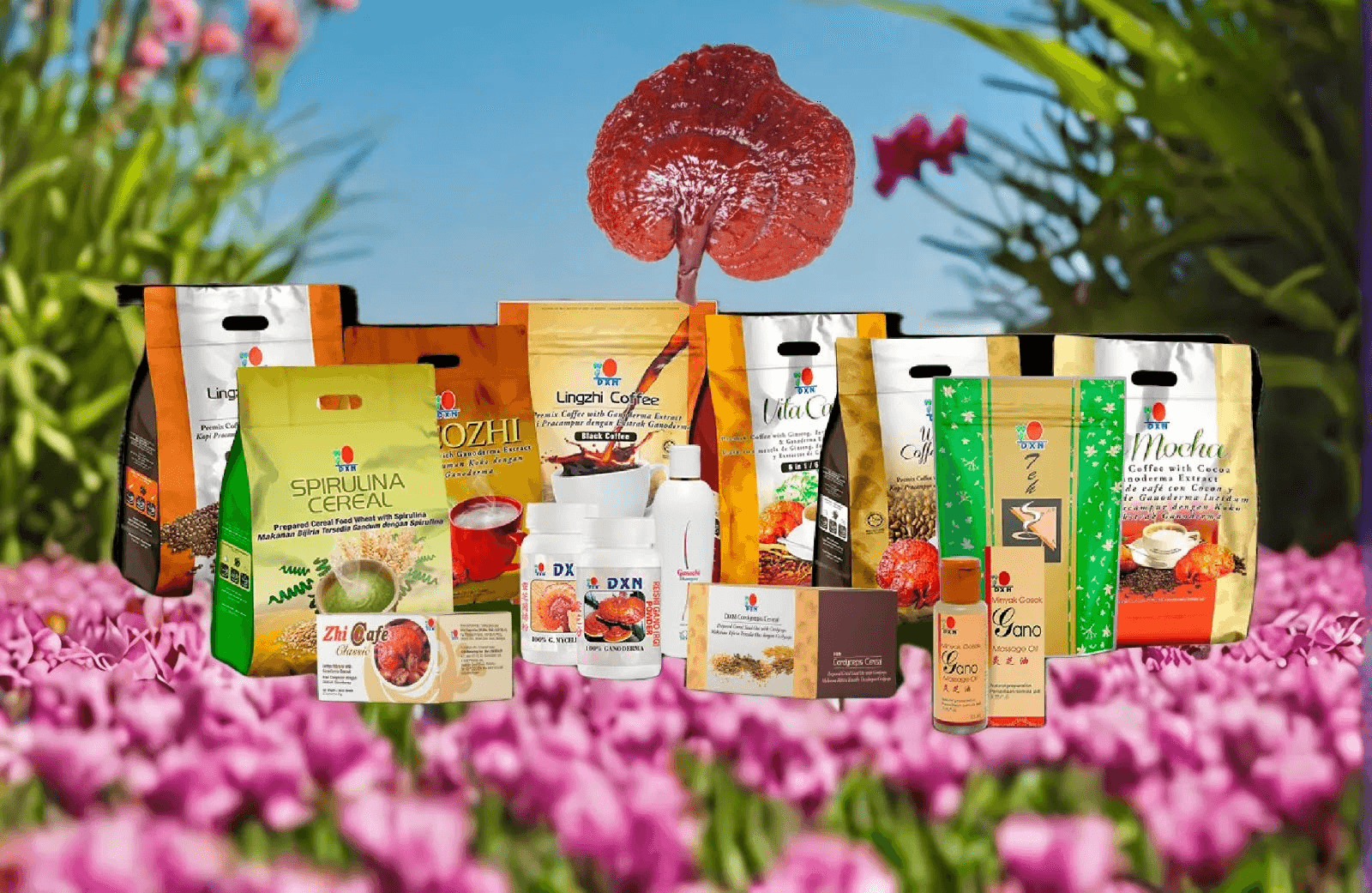 DXN Mundial — Productos de Ganoderma, Espirulina y Lingzhi (imagen 2)