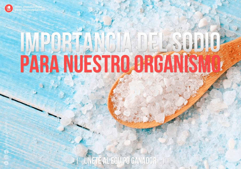 IMPORTANCIA DEL SODIO PARA NUESTRO ORGANISMO