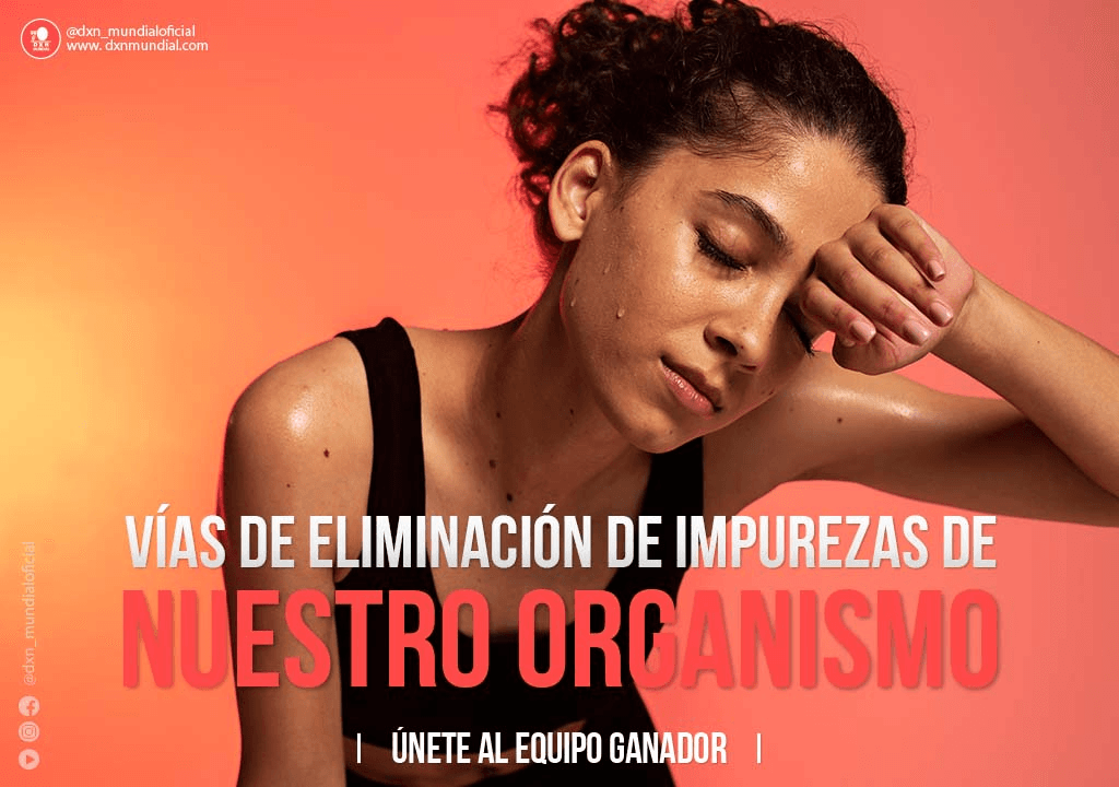 VÍAS DE ELIMINACION DE IMPUREZAS DE NUESTRO ORGANISMO