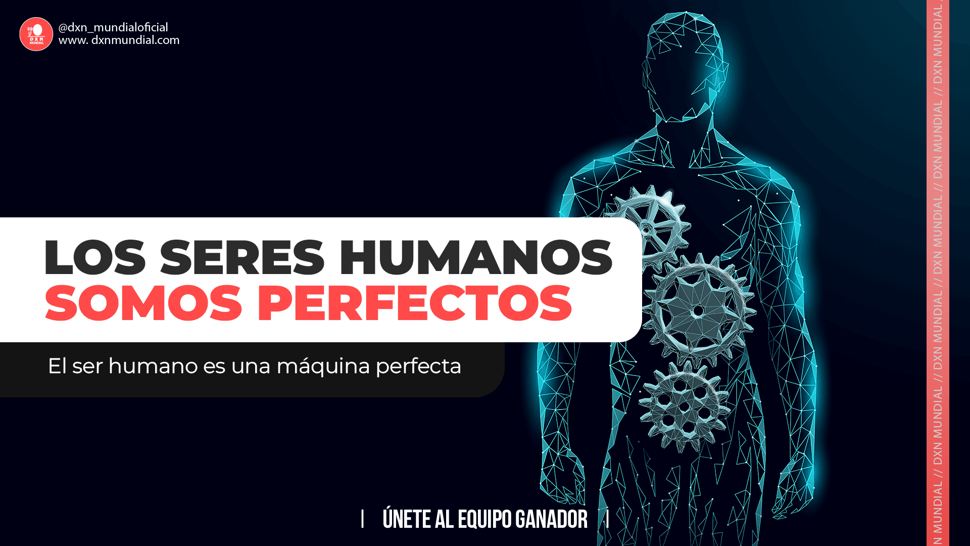 LOS SERES HUMANOS SOMOS PERFECTOS