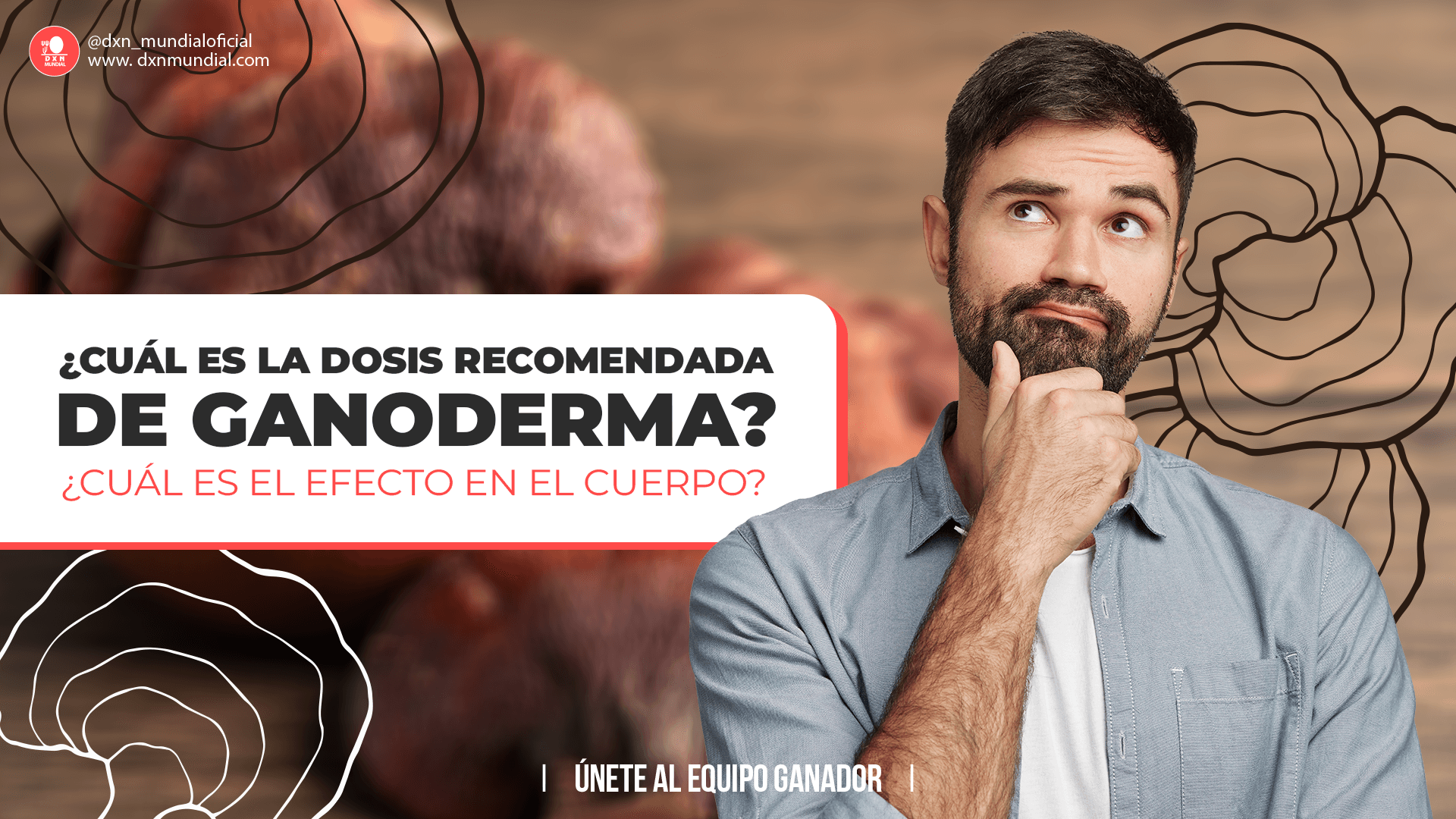 ¿CUÁL ES LA DOSIS RECOMENDADA DE GANODERMA Y  CUÁL ES EL EFECTO EN EL CUERPO?