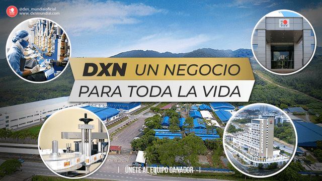 DXN, UN NEGOCIO PARA TODA LA VIDA