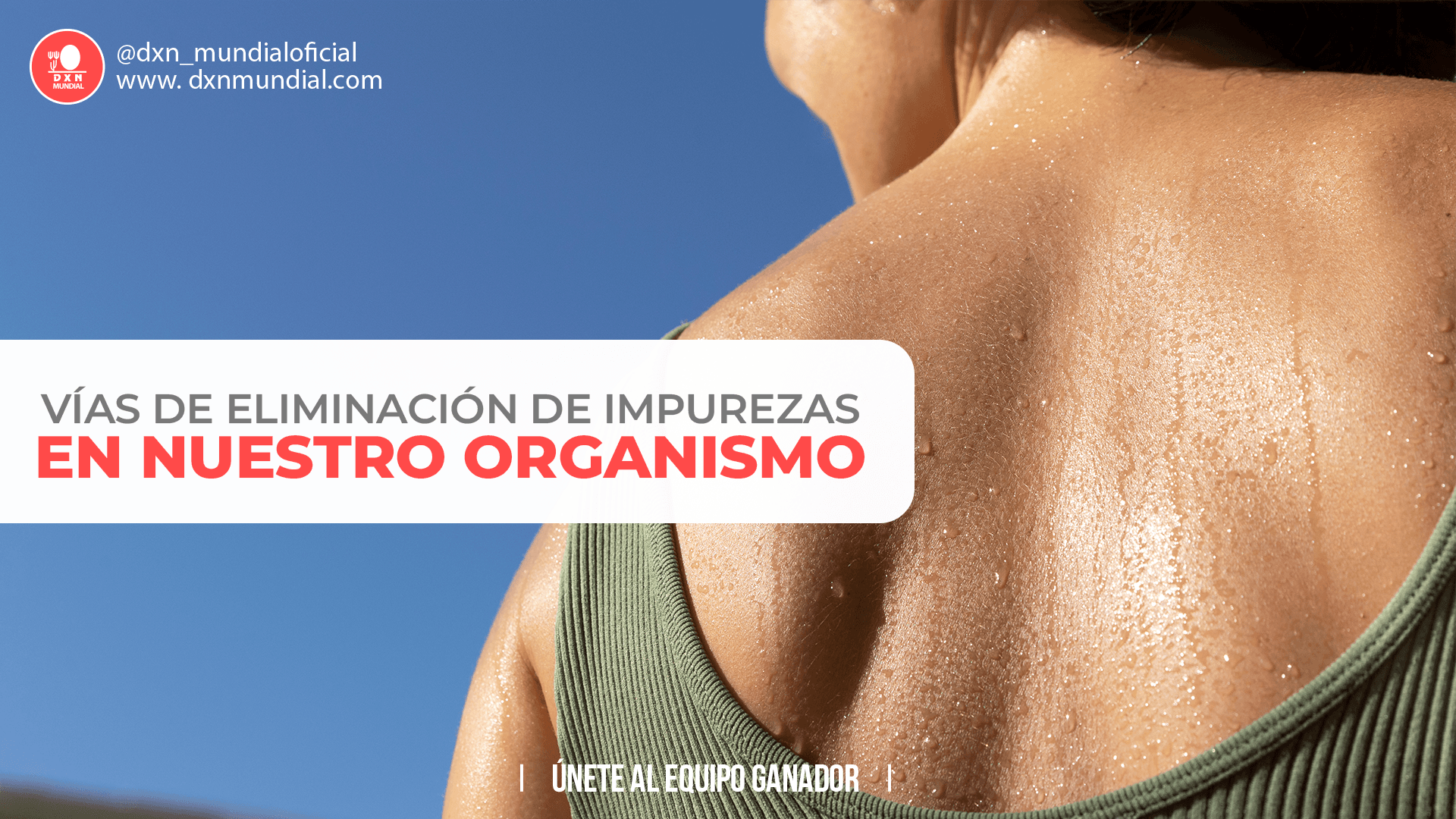 VÍAS DE ELIMINACIÓN DE IMPUREZAS EN NUESTRO ORGANISMO