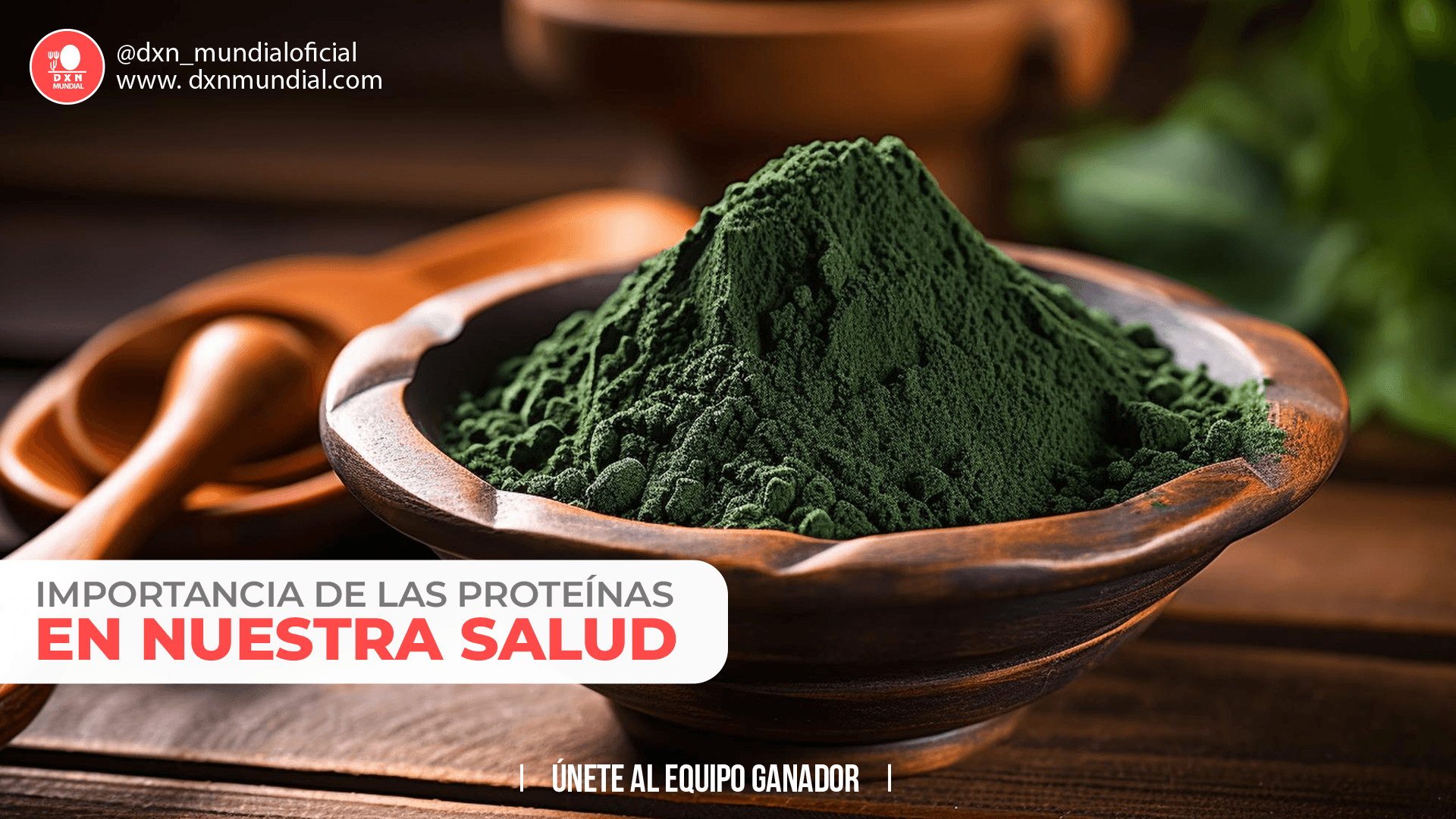 IMPORTANCIA DE LAS PROTEÍNAS EN NUESTRA SALUD
