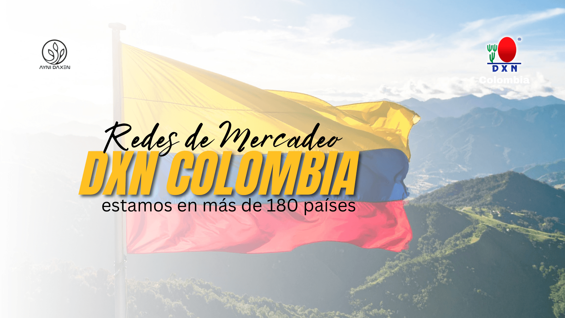 Redes de mercadeo en Colombia: ¿son legales o son una estafa?