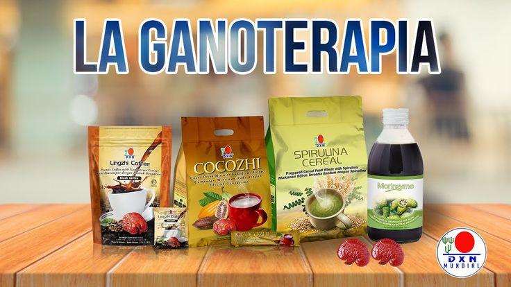 Principales Beneficios de Consumir Ganoterapia de DXN