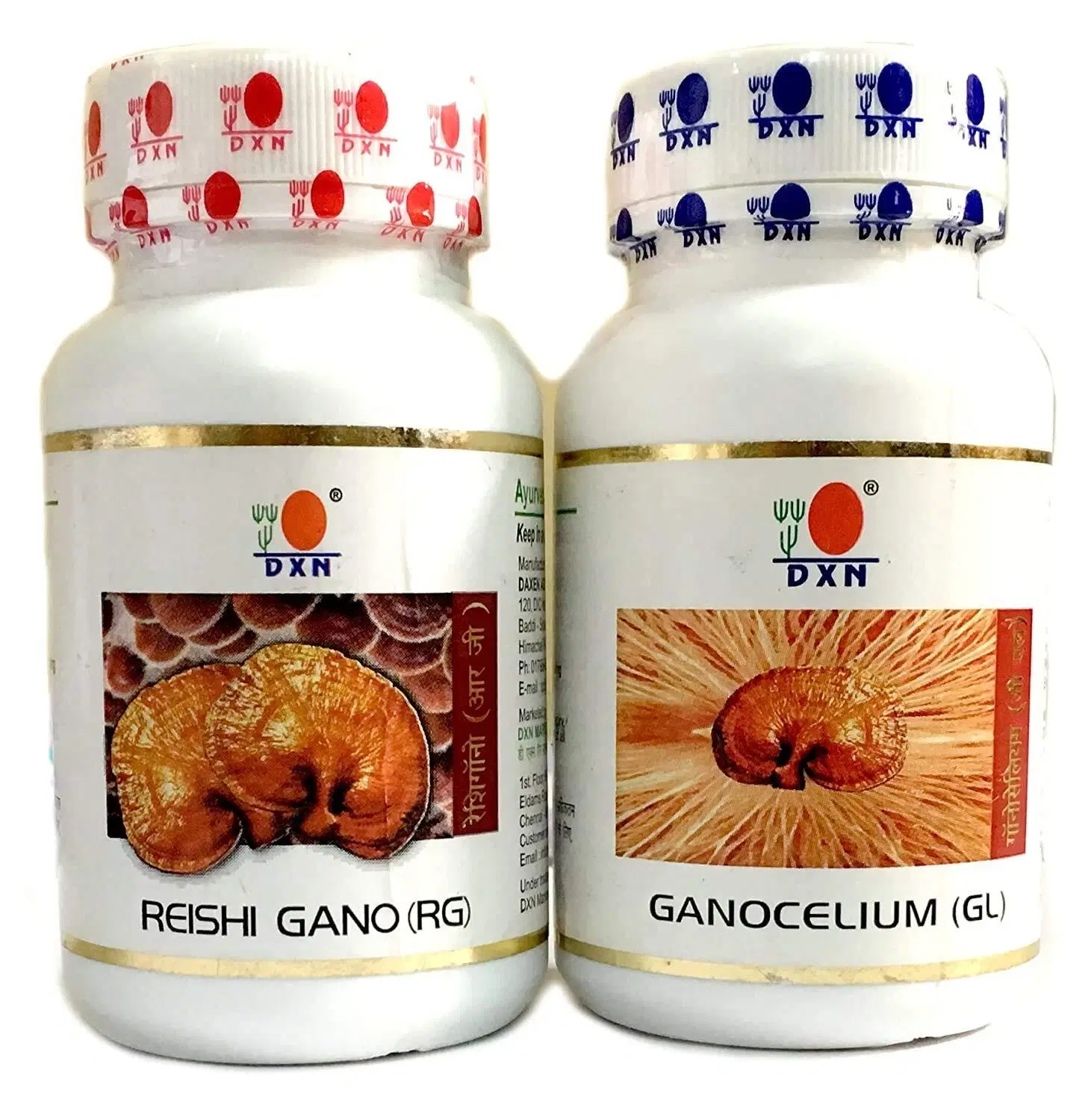 ¿Por qué consumir **Ganoderma lucidum RG y GL todos los días?