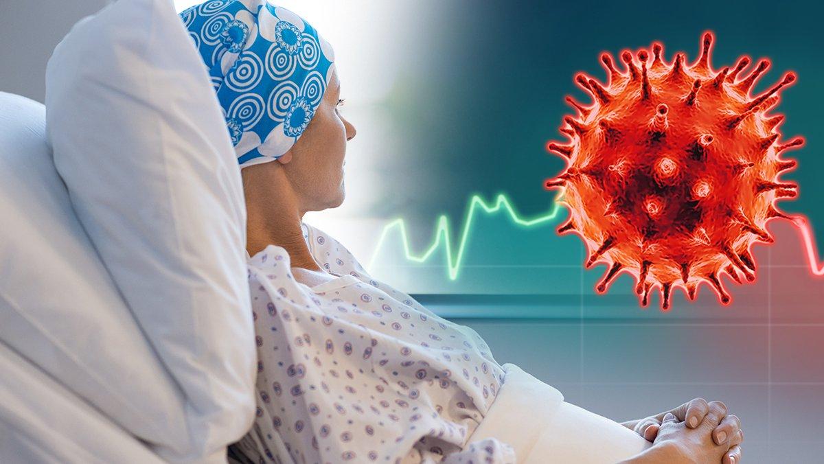 Cómo Apoya el Ganoderma Lucidum en Enfermedades Crónico-Degenerativas (incluyendo el cáncer)