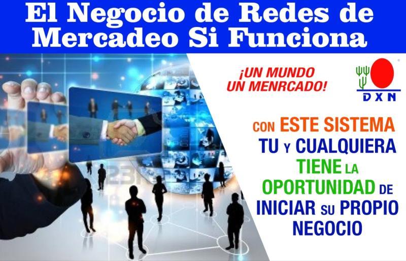 ¿Funciona el Negocio MLM de DXN?