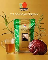 🌿 Té Spica de DXN: Beneficios, Propiedades y Por Qué Debes Consumirlo Todos los Días