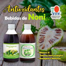 🌿 BENEFICIOS DEL MORINZHI DE DXN